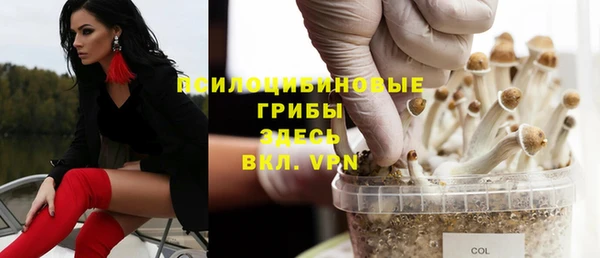 spice Лабытнанги