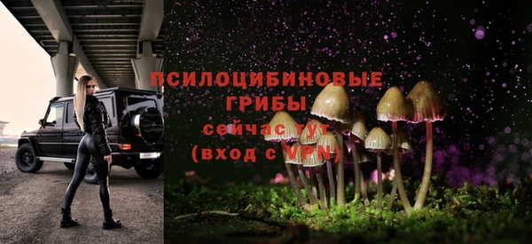 spice Лабытнанги