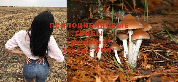 кристаллы Ладушкин