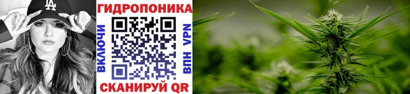 где продают наркотики  Мариинский Посад  shop состав  МАРИХУАНА AK-47  MEGA tor 
